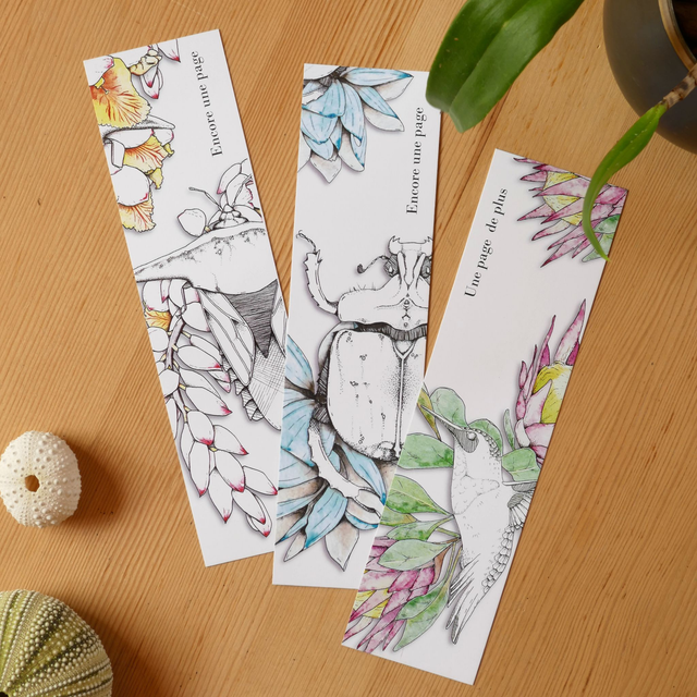 Bundle MARQUE PAGE – Atoumo