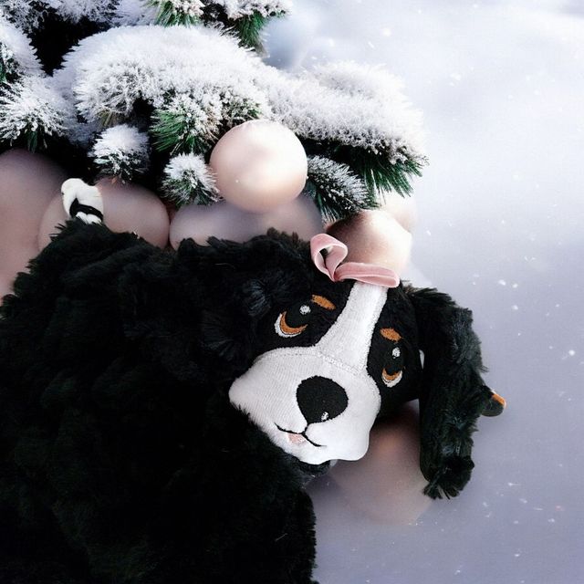 Chien - Tissus fourrure