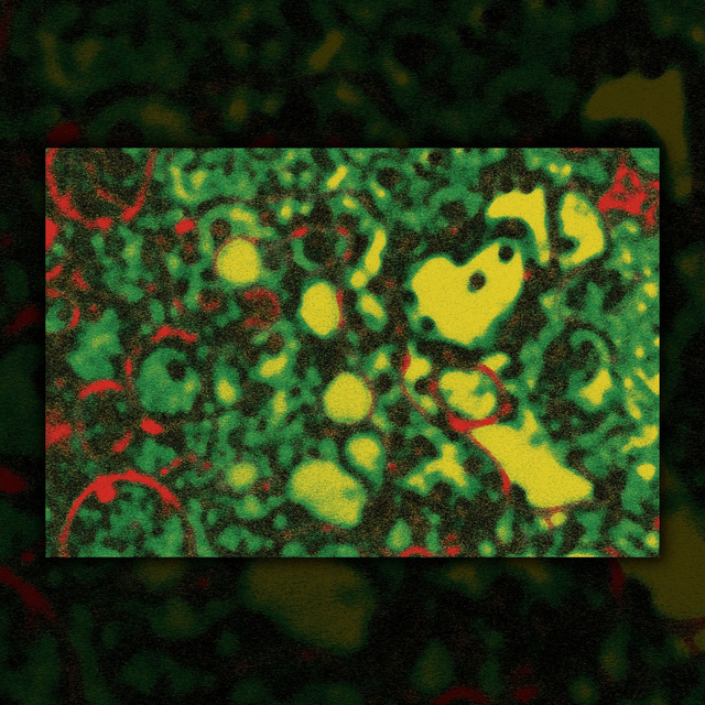 "Maquinas postiças I" Liriz, 2025 | Reprodução print fine art 30 x 20 cm