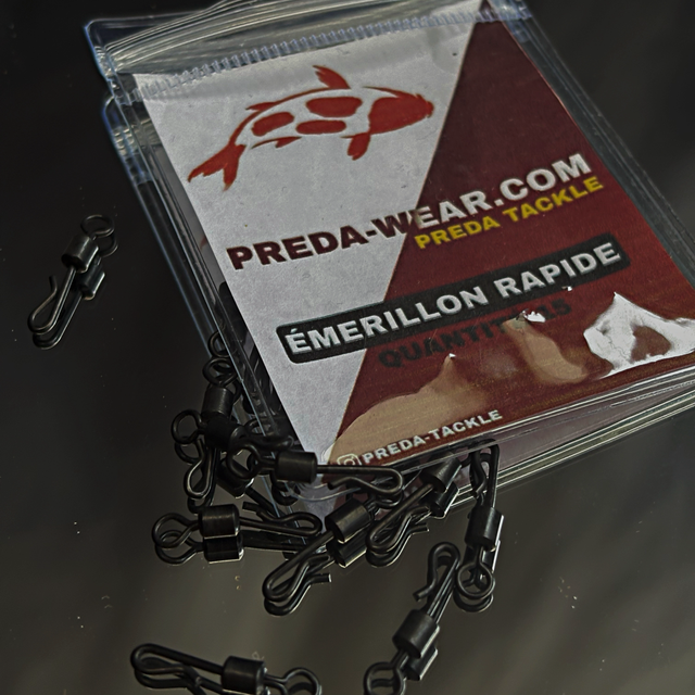 Émerillons Rapides - 15