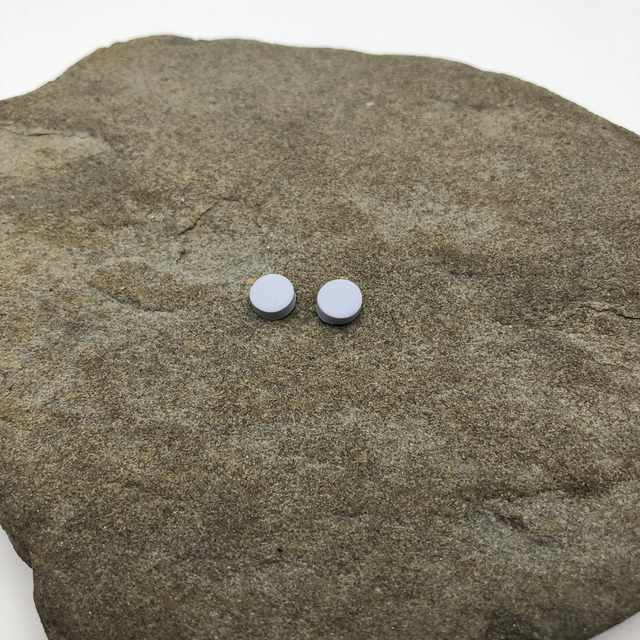 Wedgwood studs