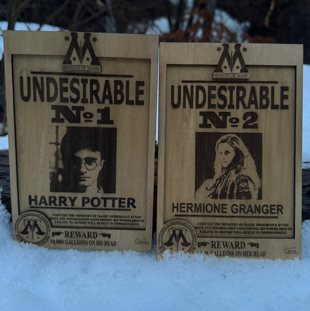 Harry Potter - Hermione Granger Wanted