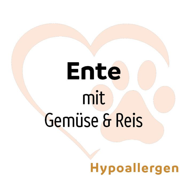 Dose Ente mit Gemüse & Reis