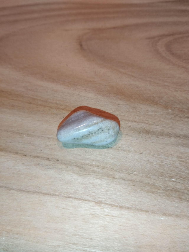 Bois fossile ou bois pétrifié 