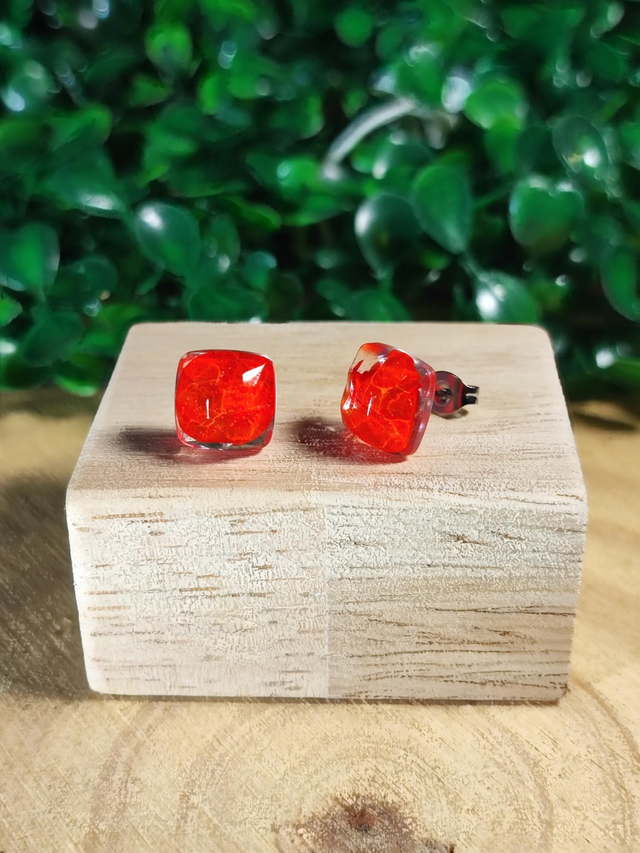 Clous d&#039;oreilles - Cara