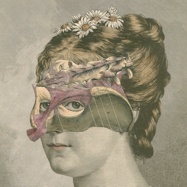 Una hermosura de Viena