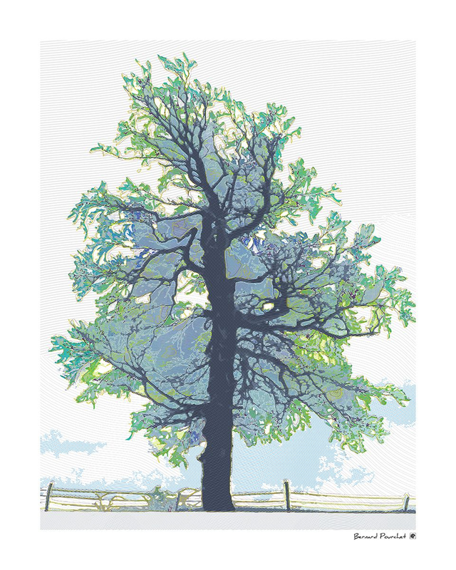 Arb18 - L'arbre du crêt Monniot