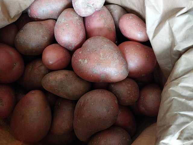 Potatoes rooster 1kg 
