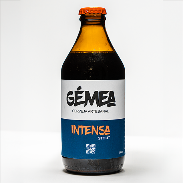 INTENSA (Stout) x6
