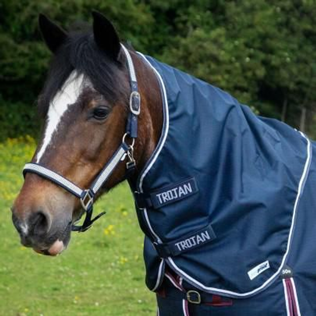 Gallop TROJAN Duraproof 5-Point Lightweight Neck Cover