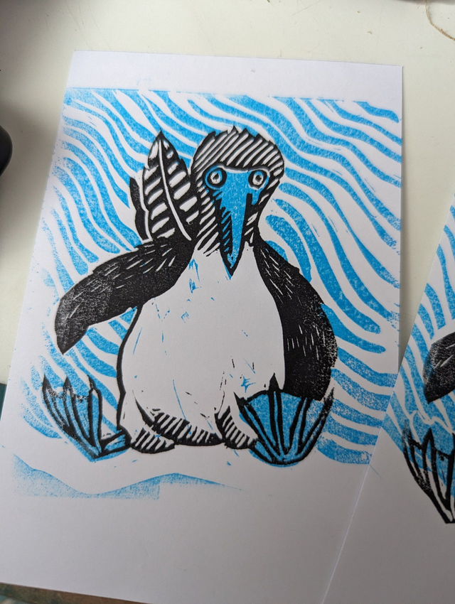 Le Fou à Pieds Bleus