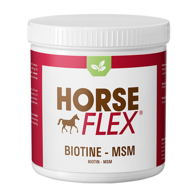 Biotine-MSM (300 g)