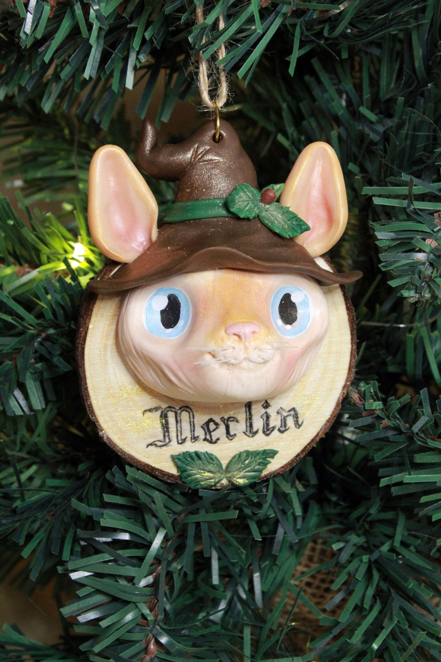 Portrait de mon animal