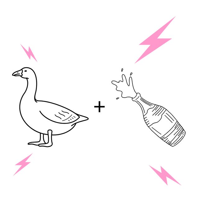 Foie Gras + Champagne