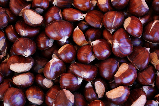 Kastanien