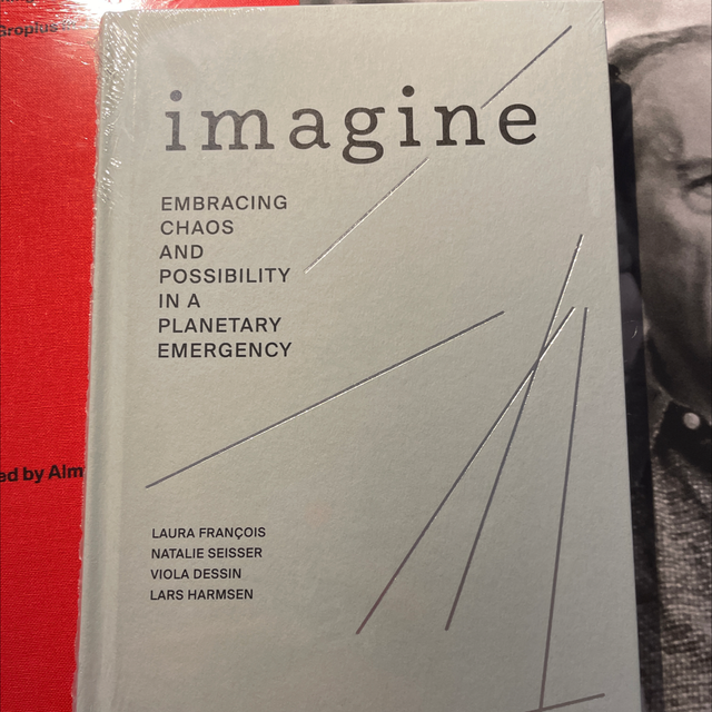 Imagine Embracing Chaos And Possibility