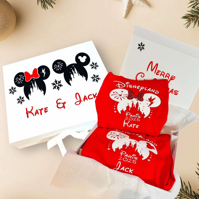 Christmas Disneyland sibling reveal box 