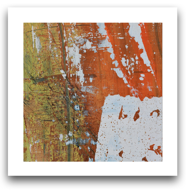 SOUNDS FROM INDIAN NATURE Ed3