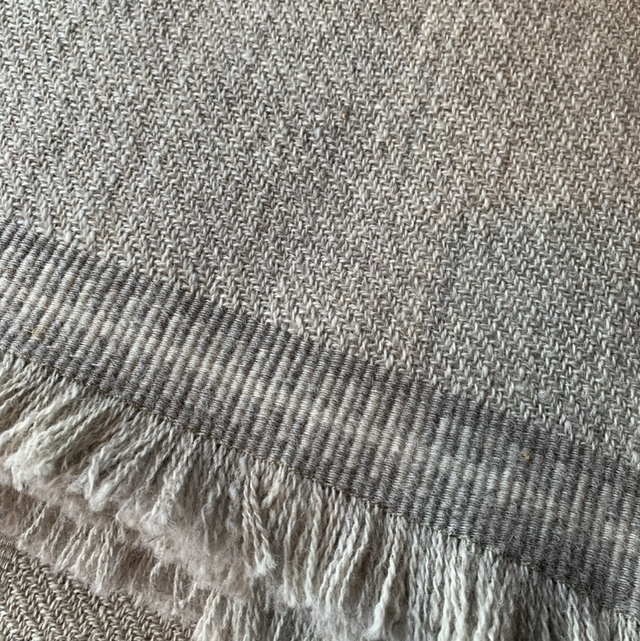 Shaali Perintö, vaalea harmaa