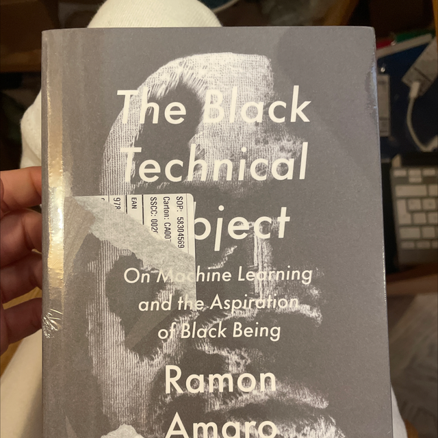 The Black Technical Object