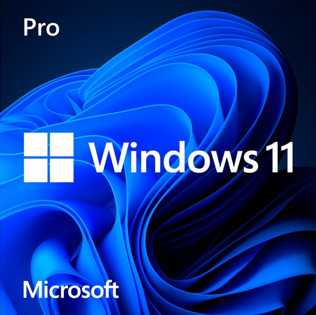 Windows 11 Professional OEM 32/64 Bits