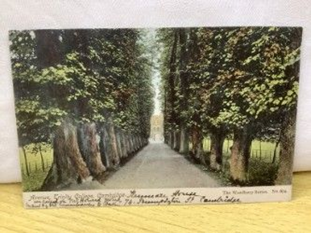 Avenue, Trinity College, Cambridge, Posted 1904 The Woodbury Series Postcard. Our Ref No. R285 £3.45
