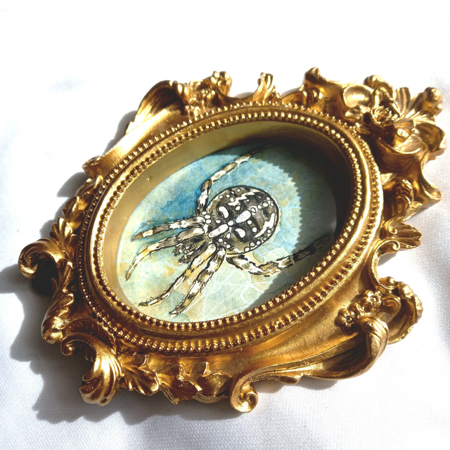 L&#039;araignée royale