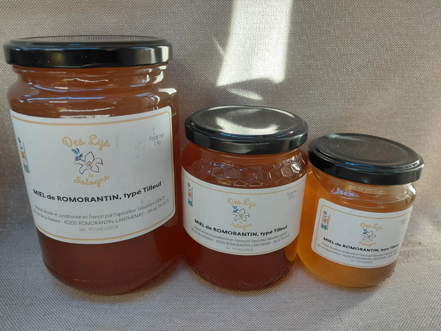 Miel de Romorantin typé Tilleul