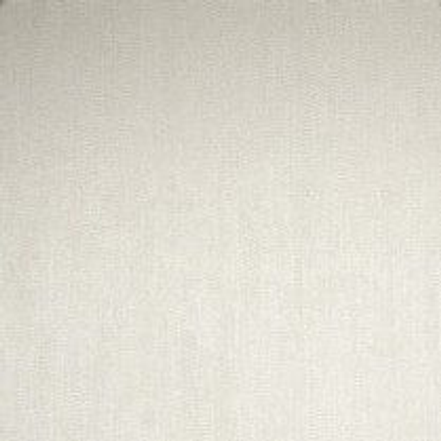 Water Silk Plain - Ivory
