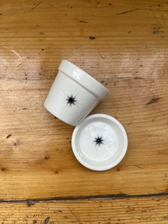 Espresso Tasse / Blumentopf - Pulsar