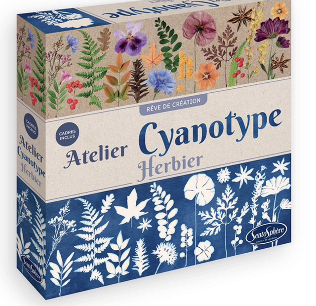 Atelier Cyanotype Herbier