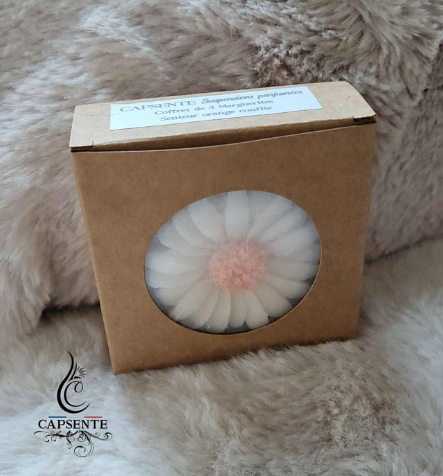 Coffret de 3 suspensions parfumées Marguerites