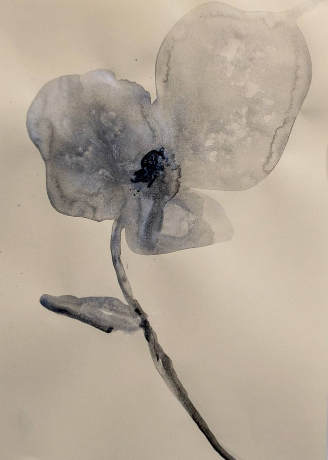 Nicasio Torres RETORNO #29