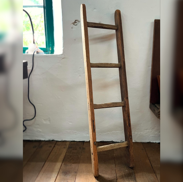 A Late 19th Century Small French Rustic Vineyard Fruit Tree Ladder 
