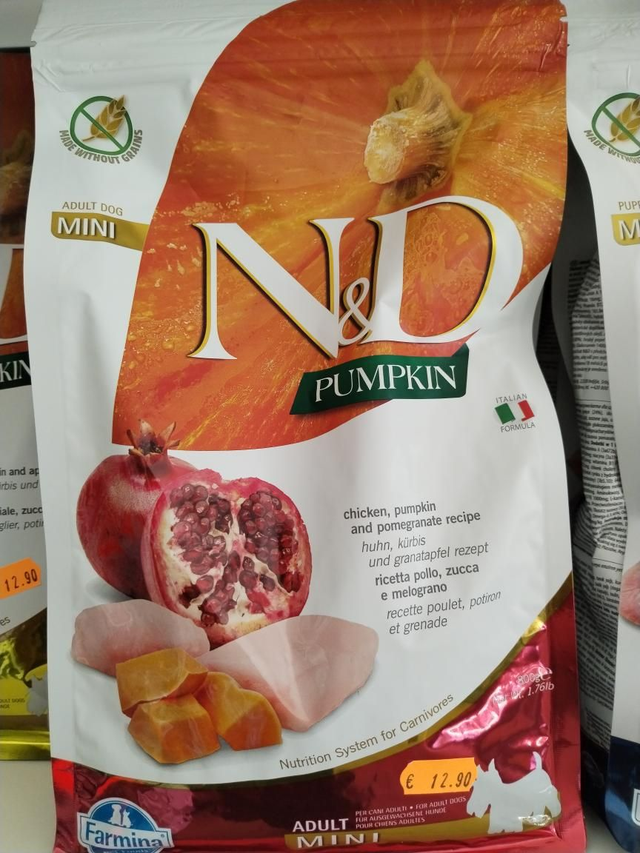 N&amp;D PUMPKIN MINI ADULT 