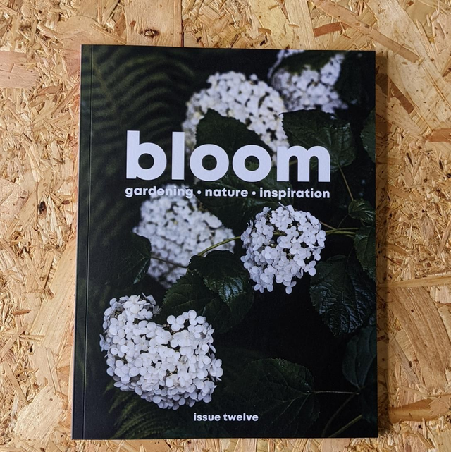 Bloom - Issue 12
