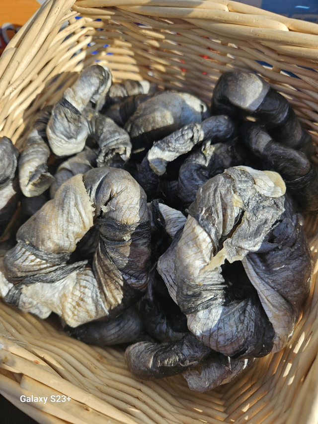 Fish  Donut Ring   Air Dried 100% Fish