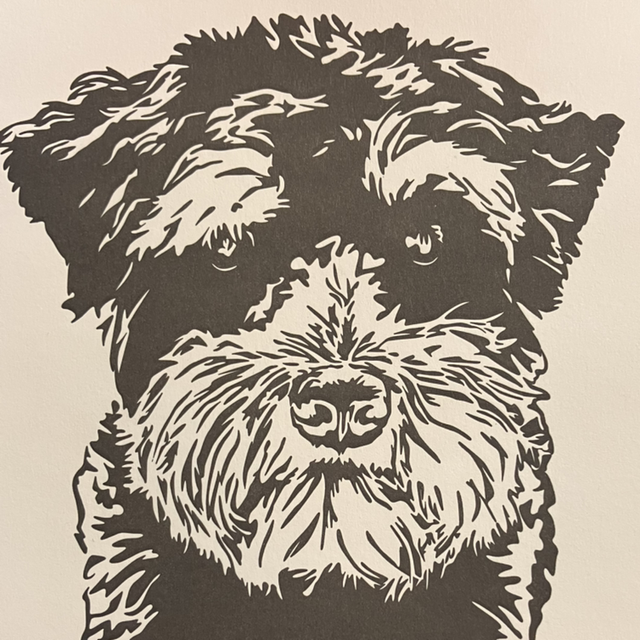 Traditional Letterpress Cats &amp; Dogs 