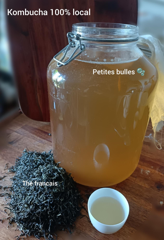 Kombucha au thé vert