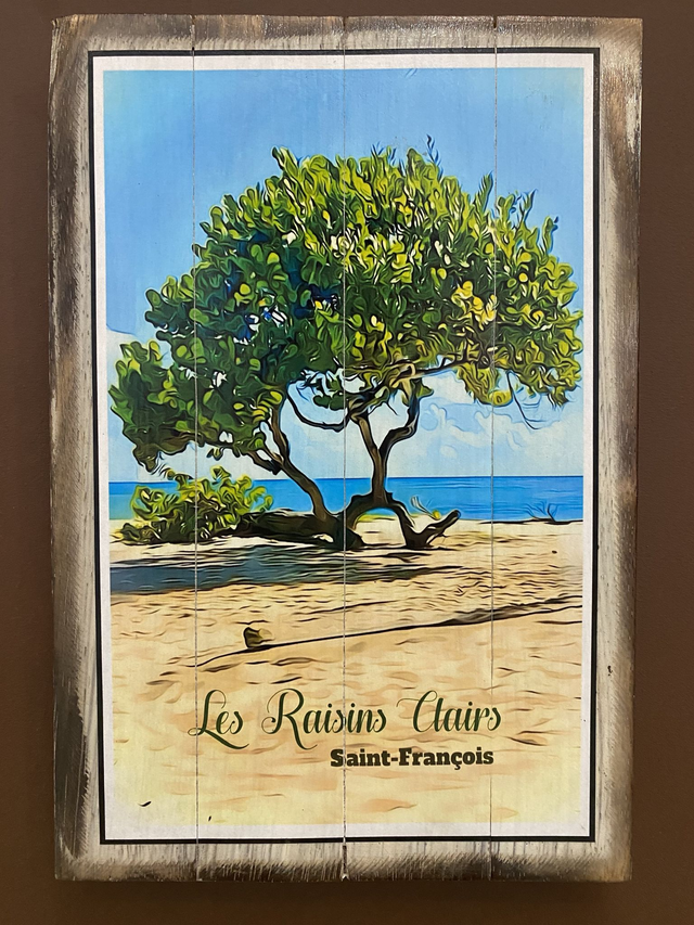 Plage des raisins clairs - Saint François