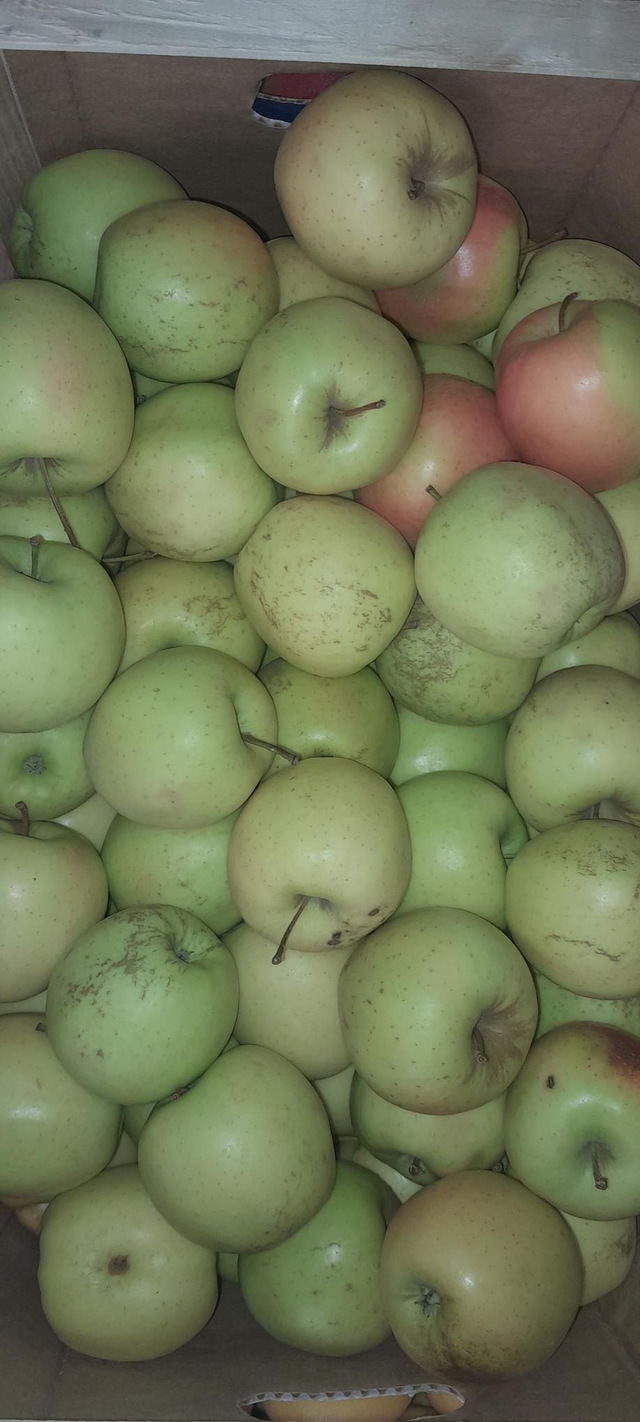 Mela Golden di Montagna