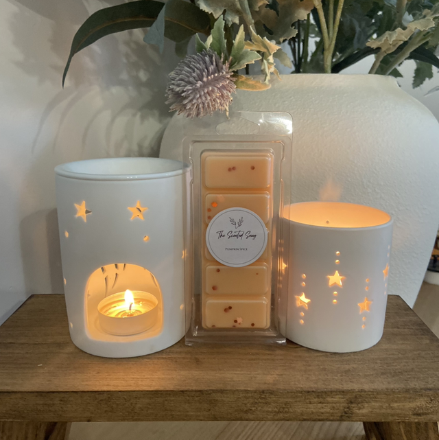 Pumpkin Spice - Wax Melt Snap Bar