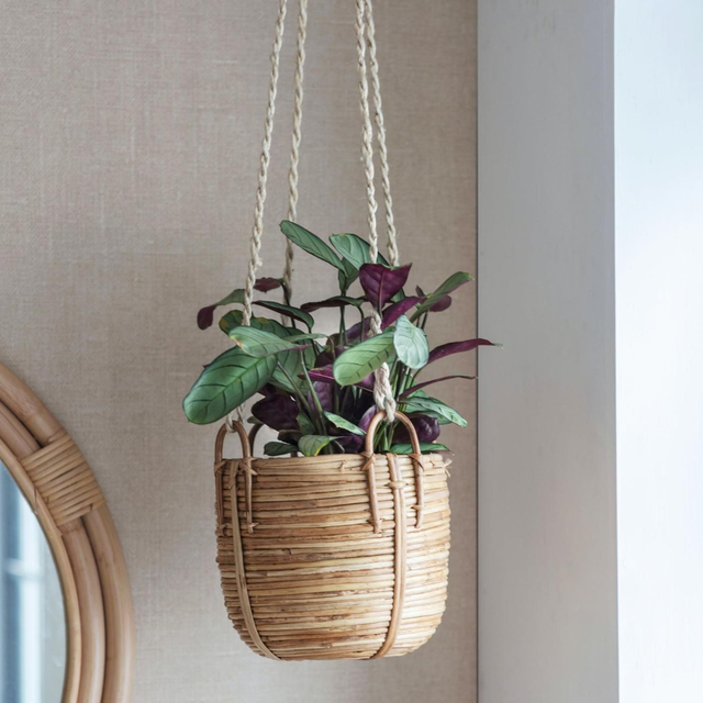 Bamboo Hanging Basket 