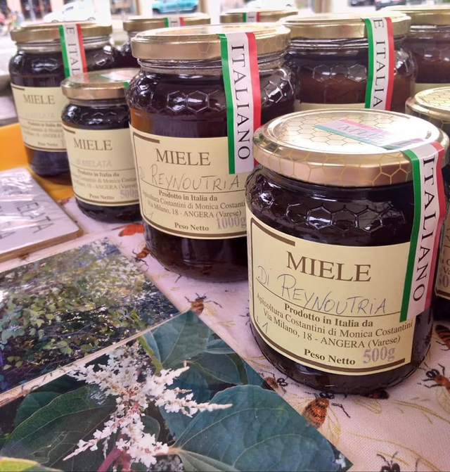 Miele di Reynoutria Japanese (500 g) - Prodotto Italiano