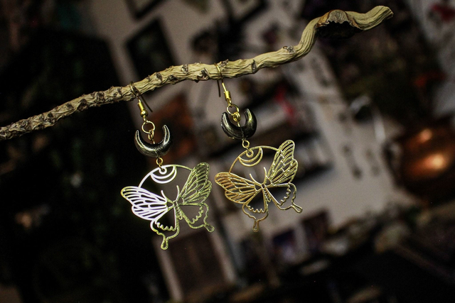 Moth and Moon