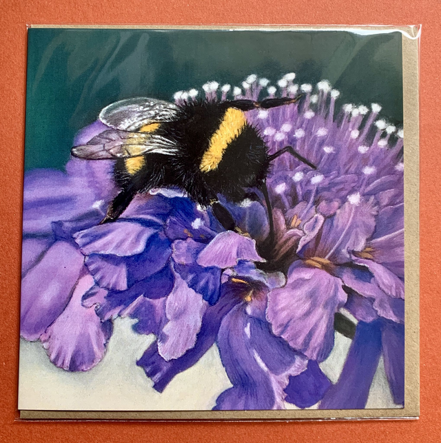 Greetings Card - Bumble Bee - Blank Inside