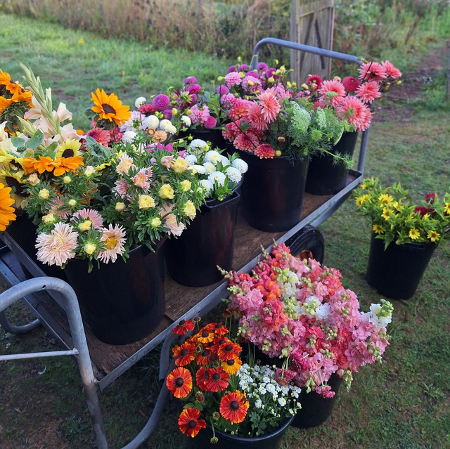 PYO Jam Jar - Saturday 2nd August 4.45pm