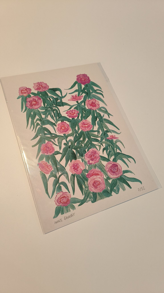 Oeillets 1 - Anaïs Georget