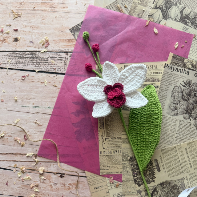 Orchidée (personnalisable pour créer votre bouquet)