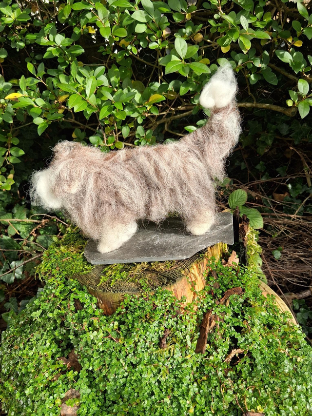 Needle Felt Large Bearded Collie